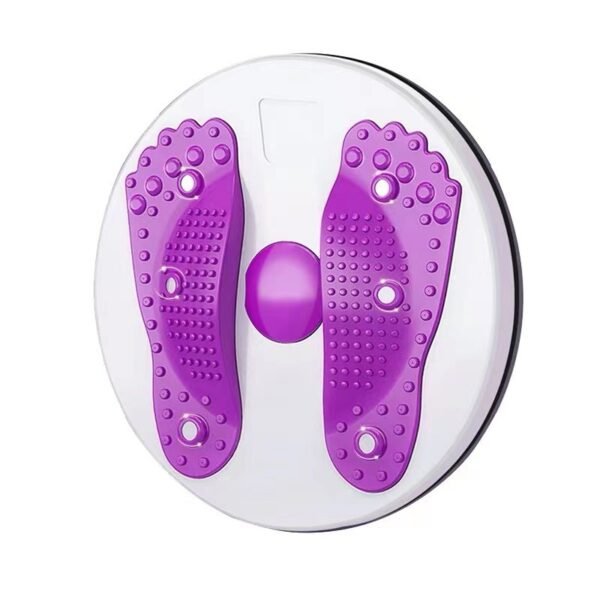 Waist Weight Loss Twister Board