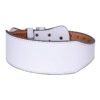 Comfort Weightlifting Belt