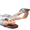 Ab Roller Wheel2