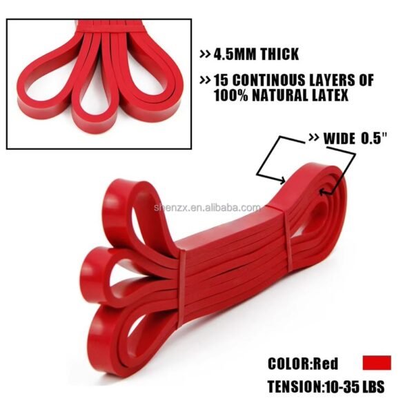 Exercise Band4