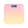 Smart Scale for Weight Loss1
