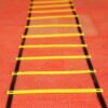 agility ladders1