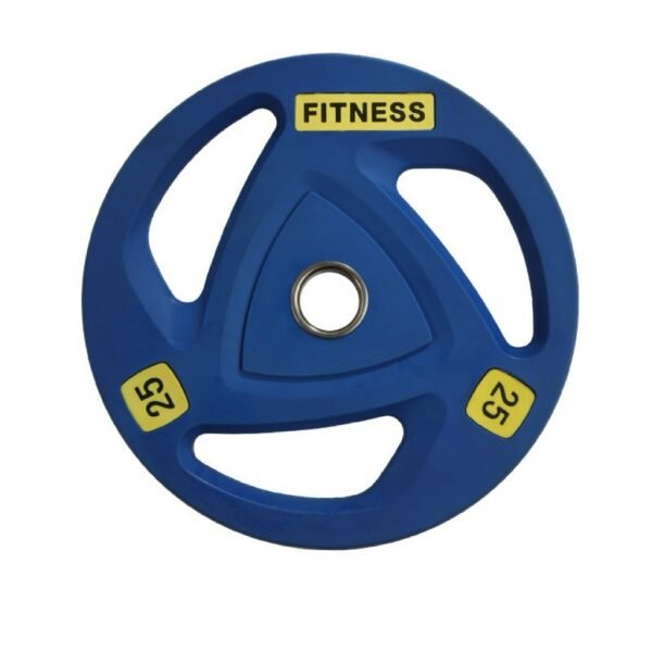 Weight Plate 6