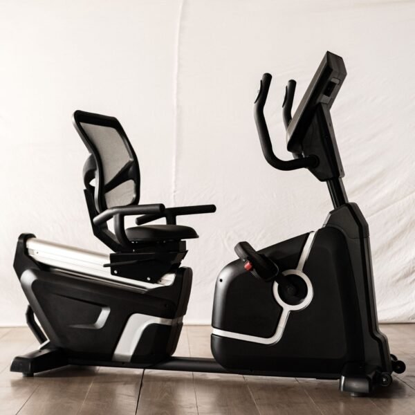 Bike Recumbent1