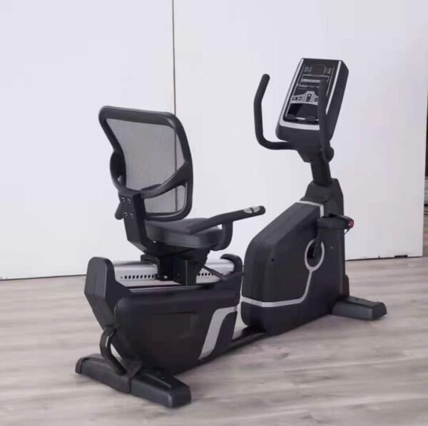 Bike Recumbent3