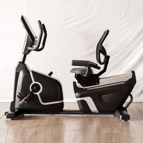 Bike Recumbent5