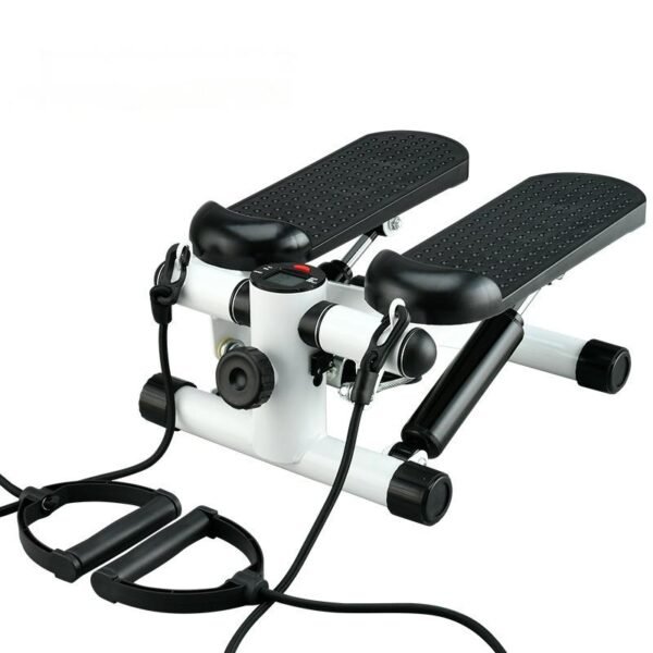 Mini Stepper1