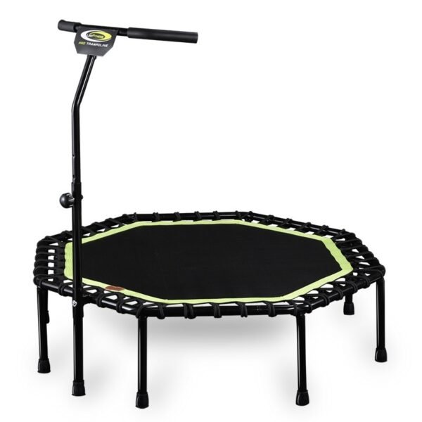 Rebounder Trampoline1