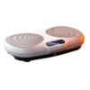 Vibration Shaking Platform