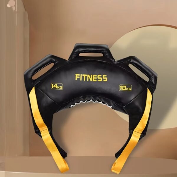 Weight Bag2
