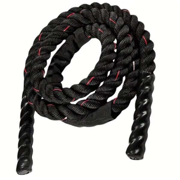 Weighted Jump Rope4