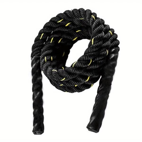Weighted Jump Rope5