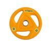Weight Plate 3
