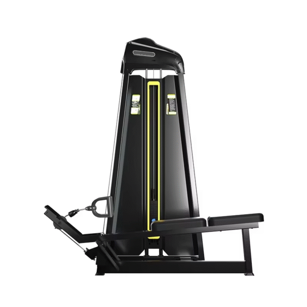 High and Low Pull Back Trainer