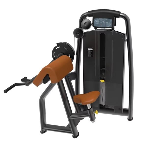 Biceps Curl Hammer Machine