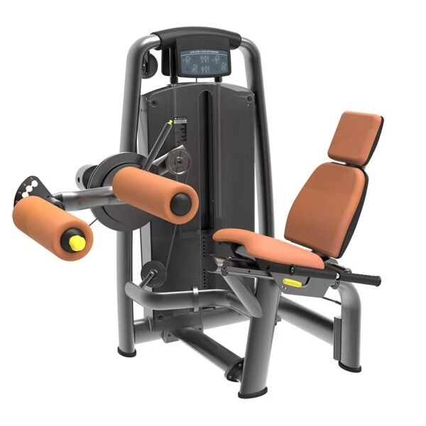 Seated Leg Curl Machine
