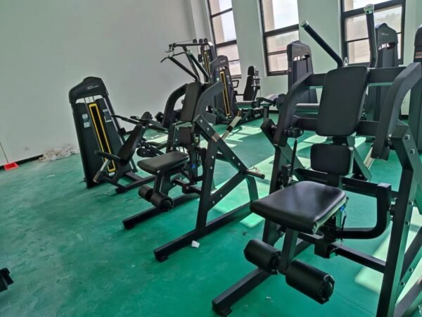 Professional Abdominal Crunch