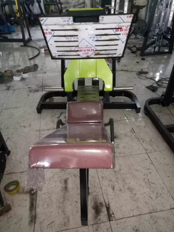 45 Degre Leg Press