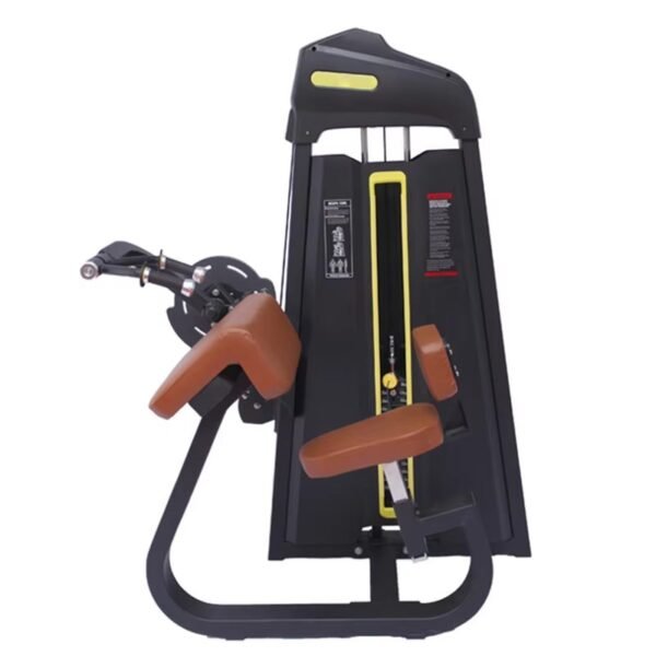 Friceps Extension Machine2