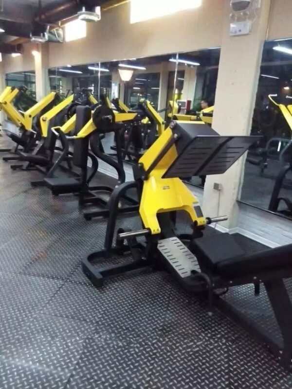 45 Degre Leg Press