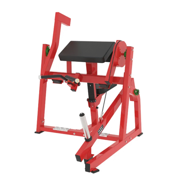 High Quality Seated Biceps