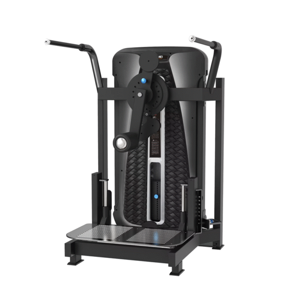 Multi Hip Machine