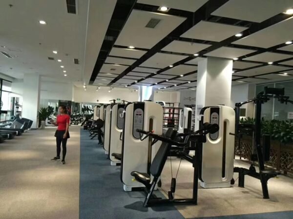 Leg Curl Pin Load Selection Machine2