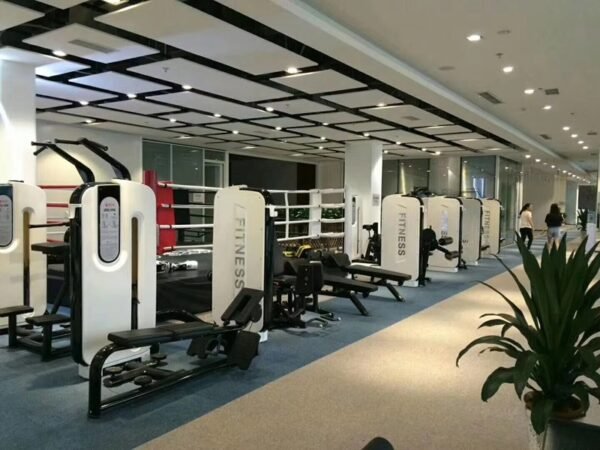 Leg Curl Pin Load Selection Machine3