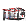 Multi-Functional Boxing Ring