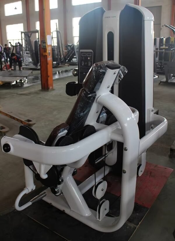Bicep Curl Machine2